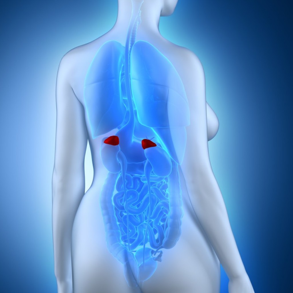 signs of adrenal problems